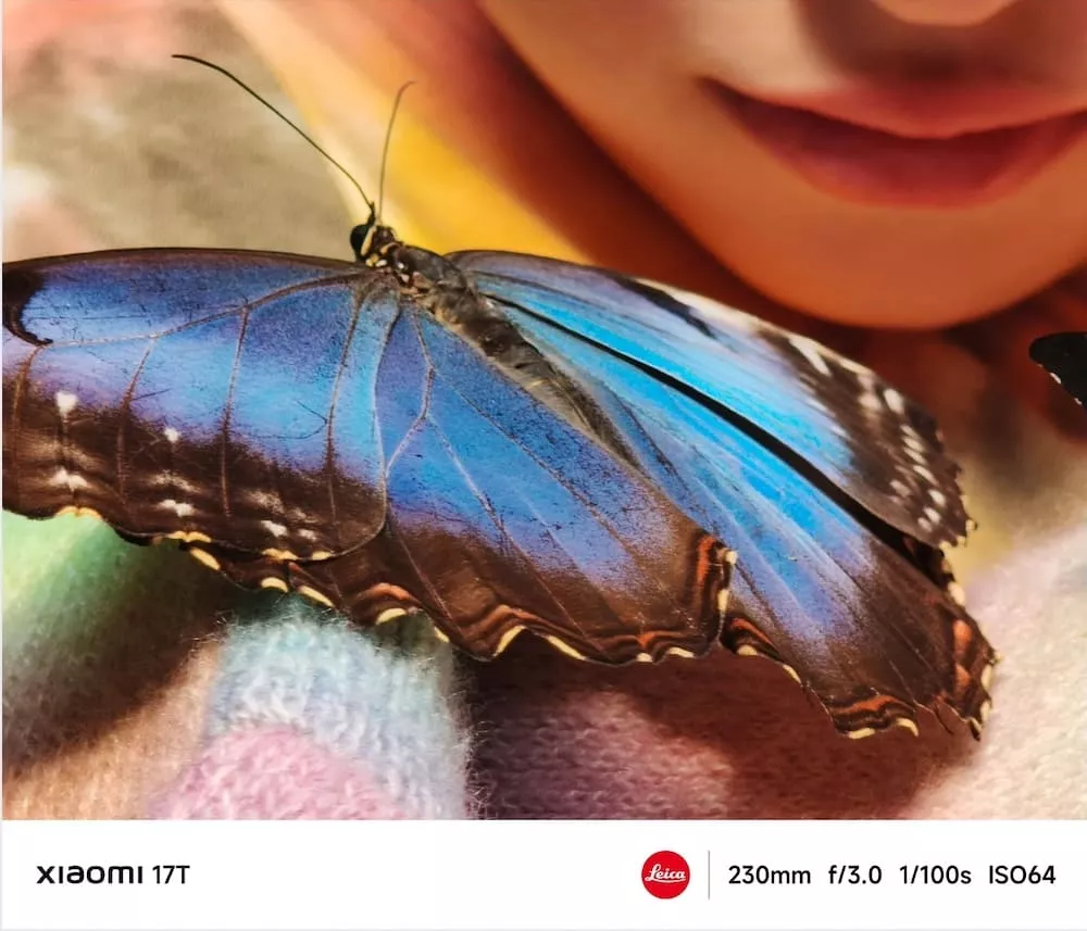 Макросъемка Xiaomi 17T Макросъемка Xiaomi 17T